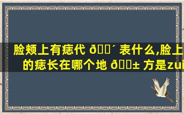 脸颊上有痣代 🐴 表什么,脸上的痣长在哪个地 🐱 方是zui
好的